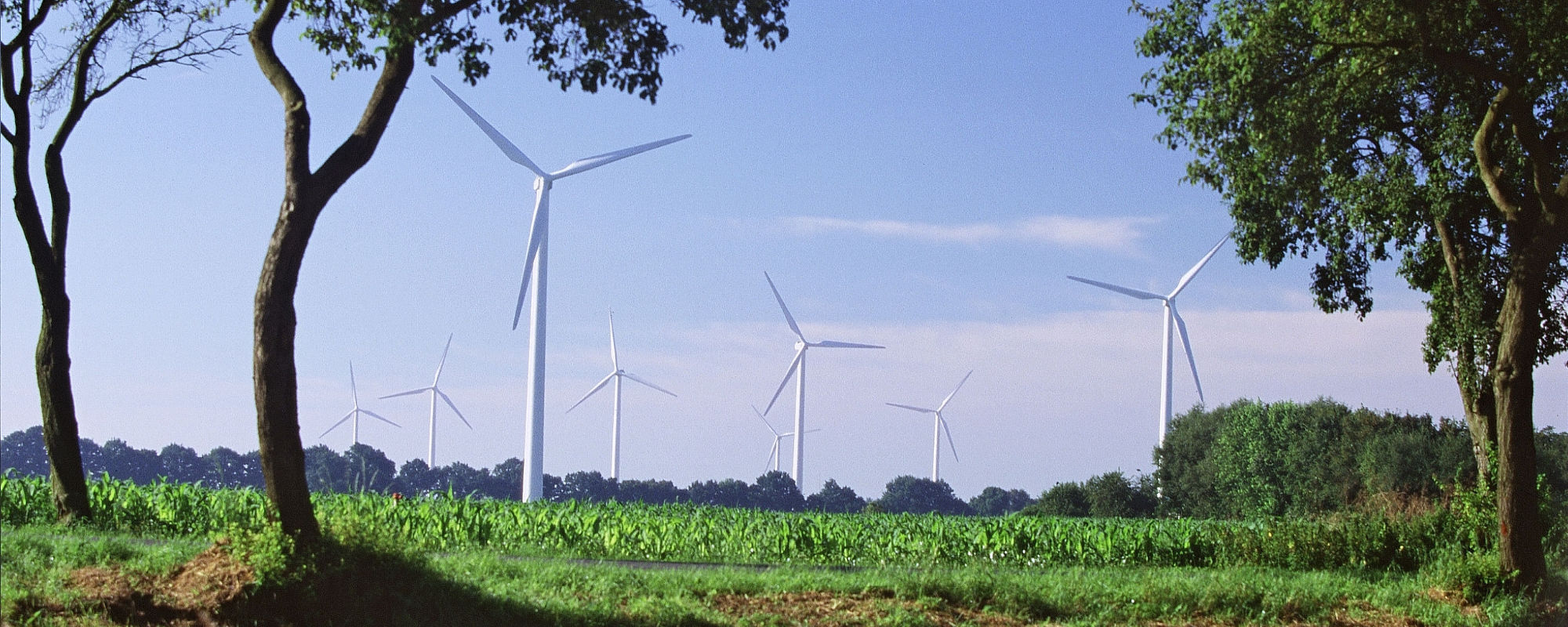 Finanzielle Beteiligungsmöglichkeiten bei Windenergieanlagen